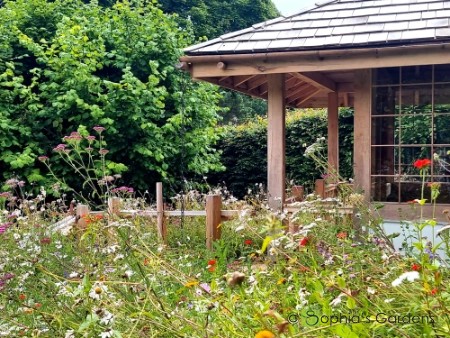 A view across a flowering meadow of the Tea-house Sophias Gardens and her team built in Stocksfield, Northumberland 