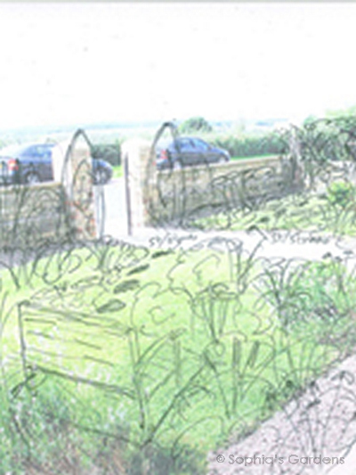 A pencil sketch drawn over a photo of a front garden to illustrate an enticing vision of the future garden